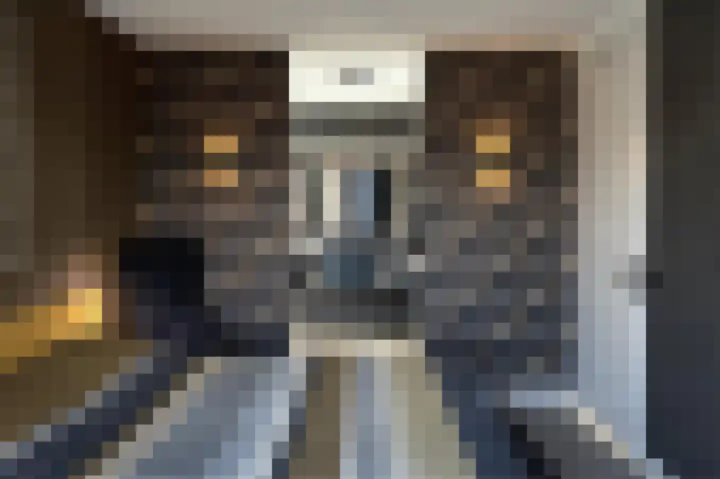 Horreum 10 Cuijk thumbnail 38