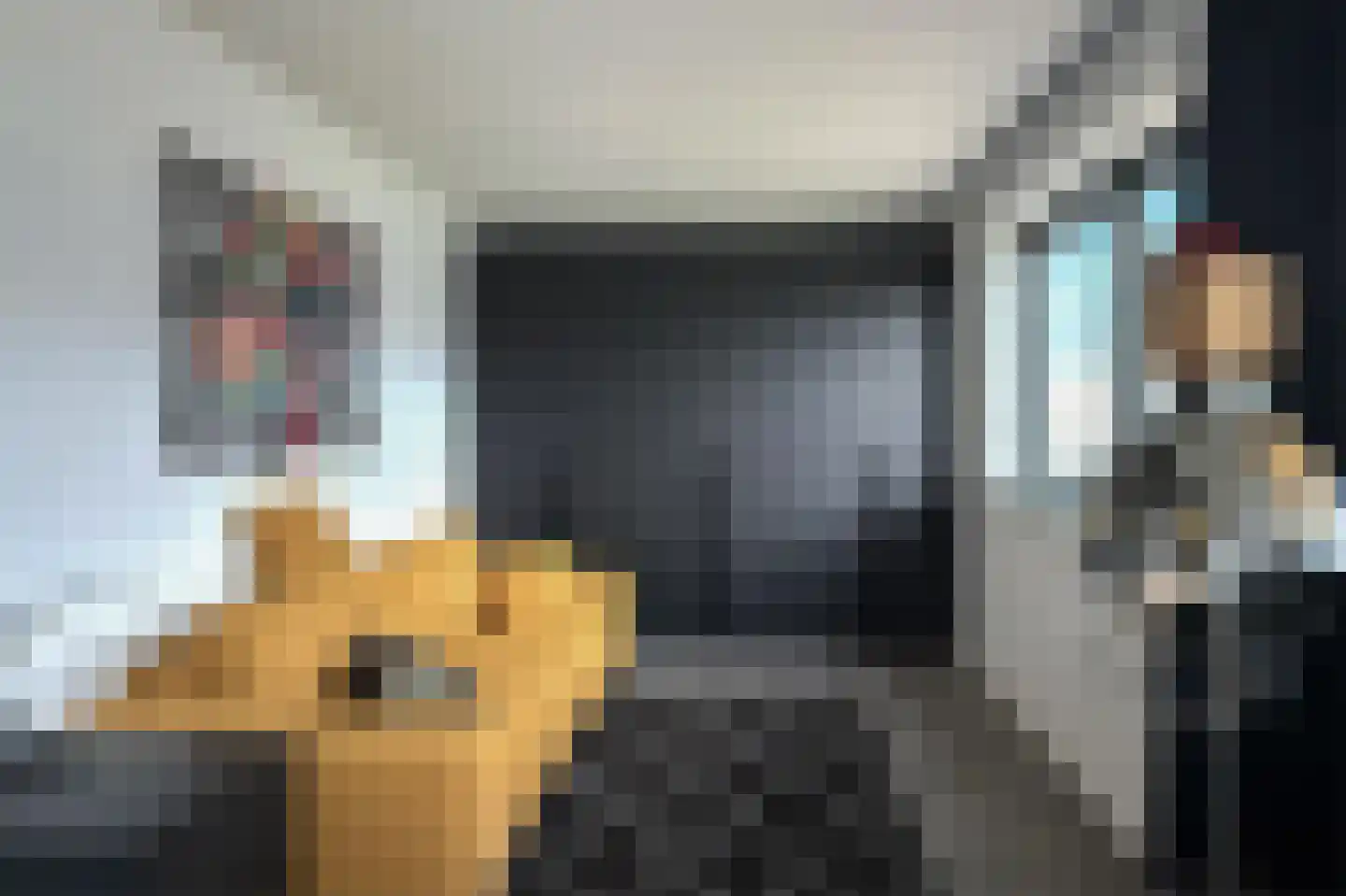 Horreum 10 Cuijk thumbnail 40