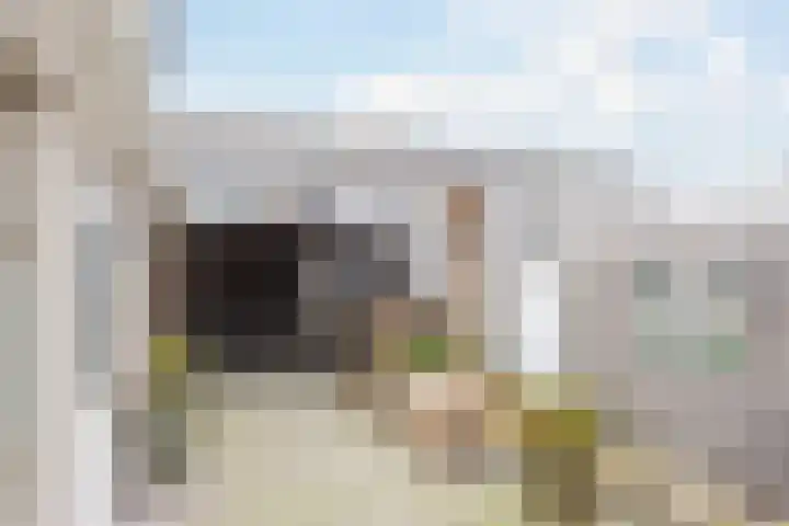 Horscamp 10 Harlingen thumbnail 35