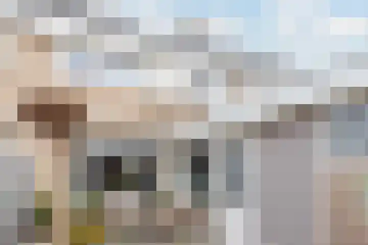 Horscamp 10 Harlingen thumbnail 38