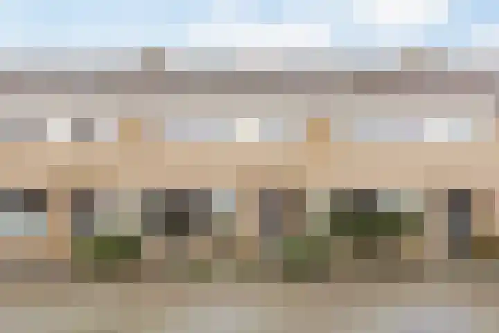 Horscamp 10 Harlingen thumbnail 39
