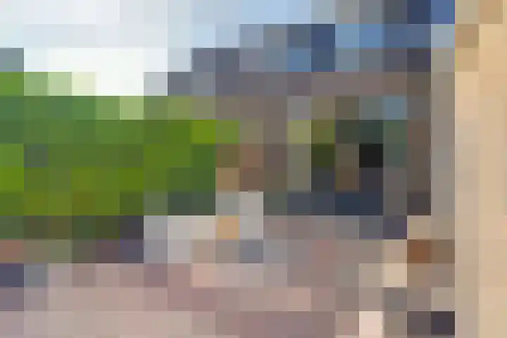 Horscamp 9 Harlingen thumbnail 32