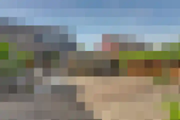 Horscamp 9 Harlingen thumbnail 34