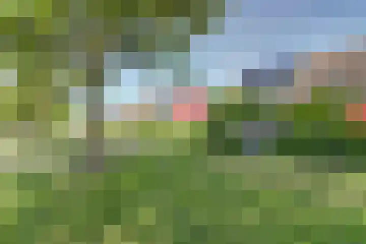 Horscamp 9 Harlingen thumbnail 36