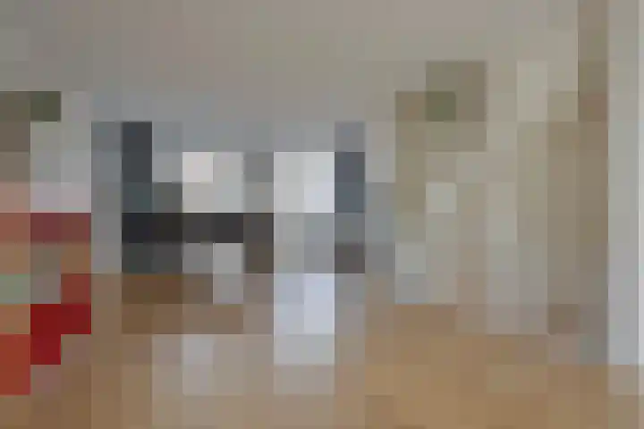 Horscamp 9 Harlingen thumbnail 8