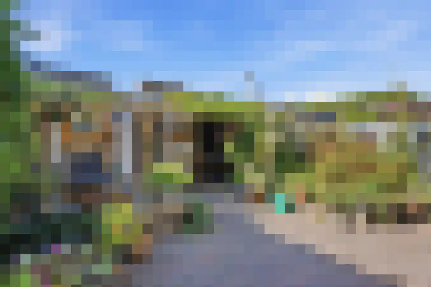 Horscamp 90 Harlingen thumbnail 34
