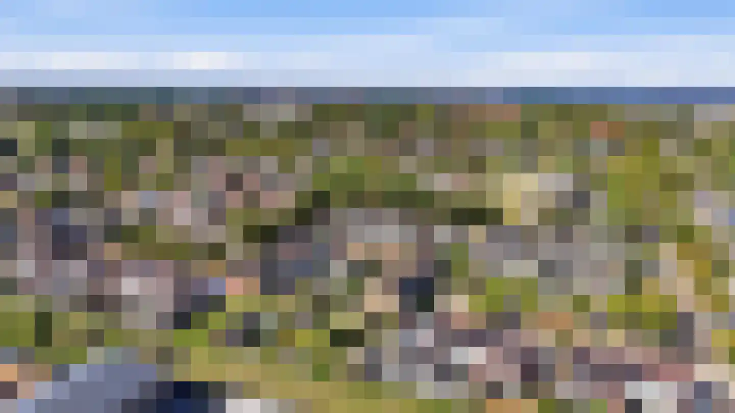 Horscamp 90 Harlingen thumbnail 44