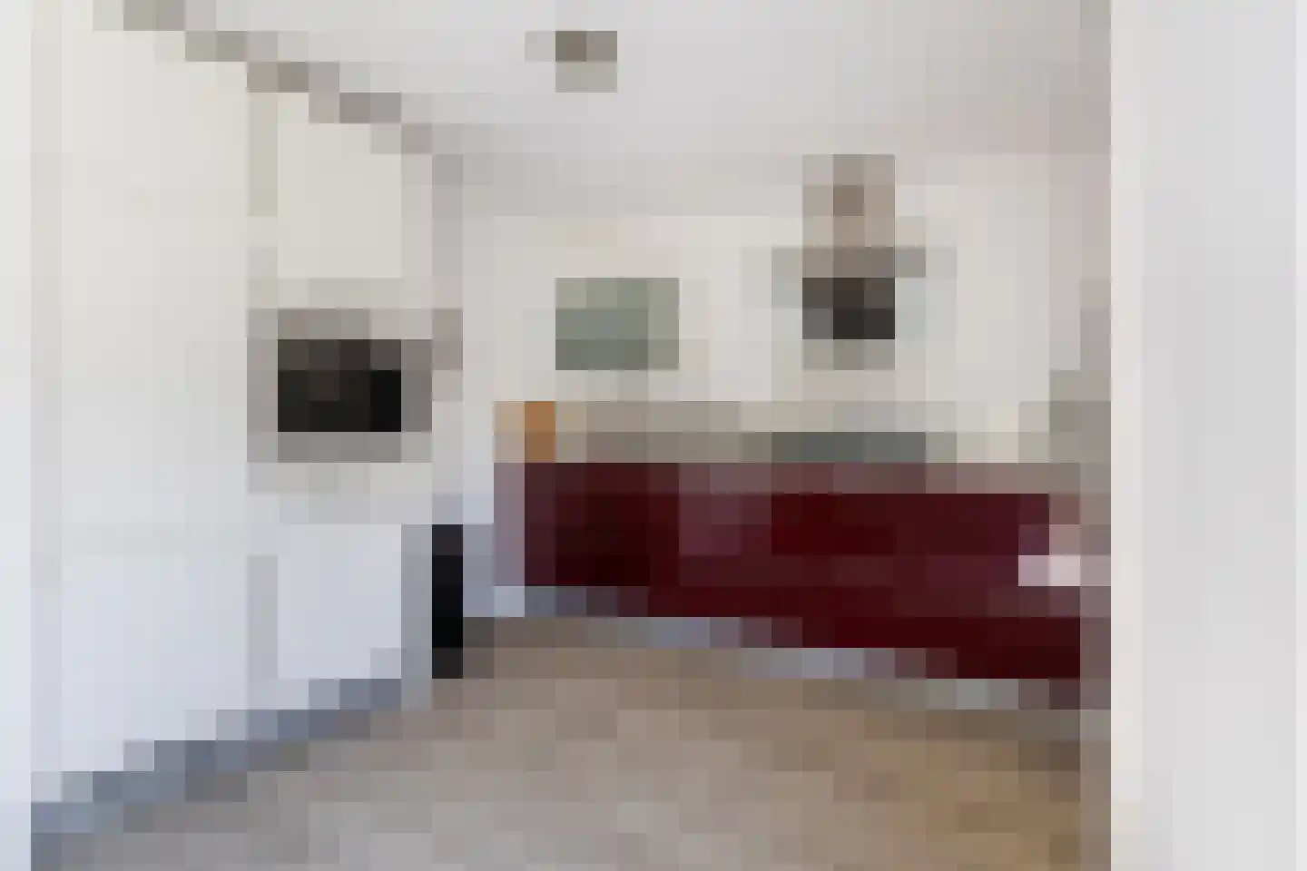Horseler Pol 2 Nijkerk thumbnail 16