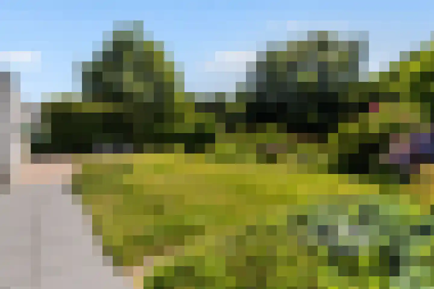 Horseler Pol 2 Nijkerk thumbnail 18