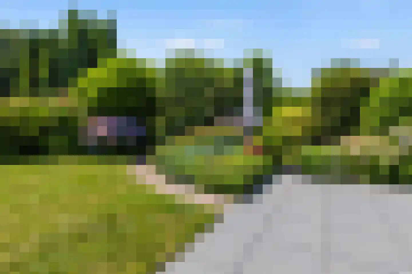 Horseler Pol 2 Nijkerk thumbnail 19