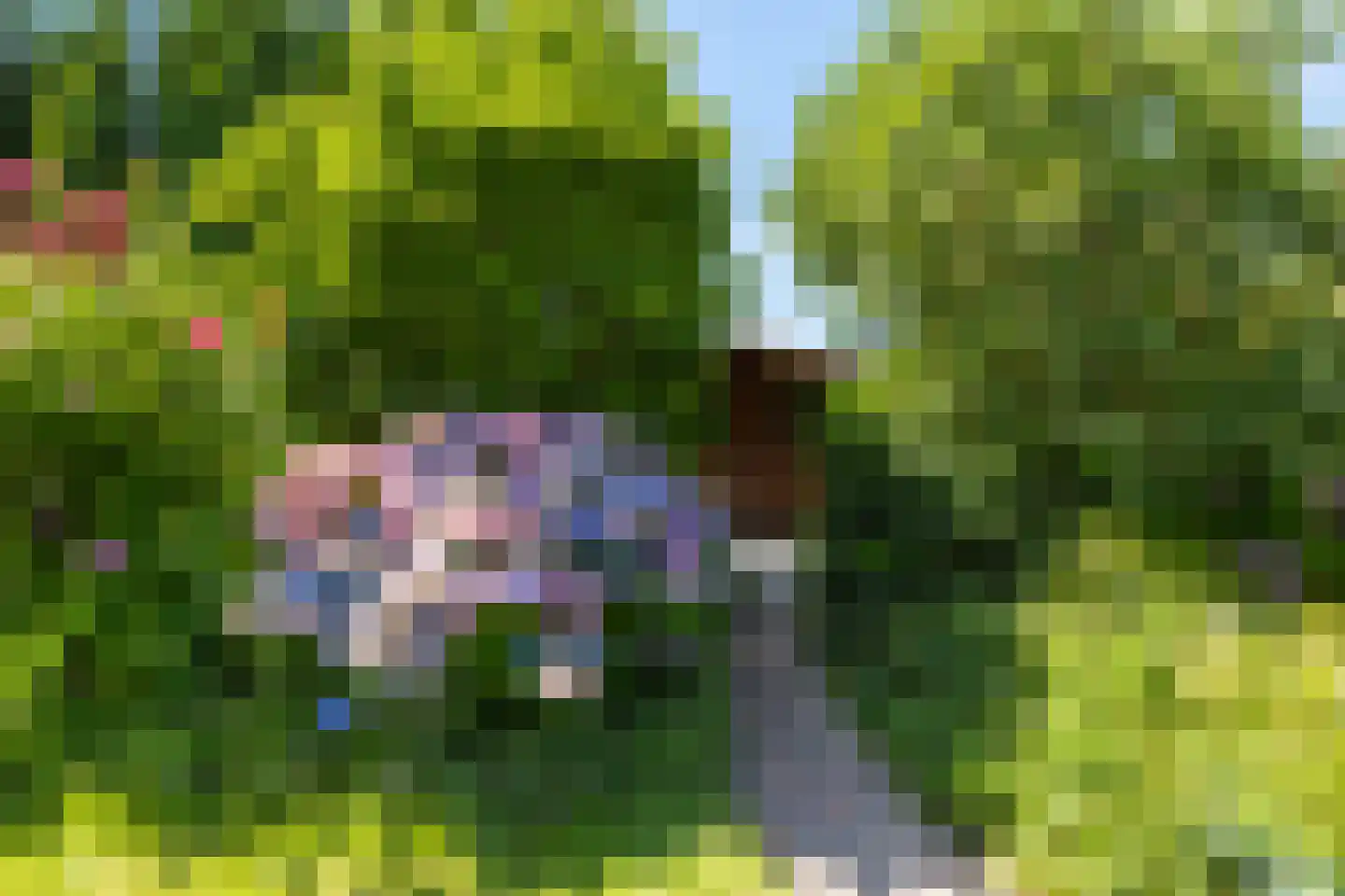 Horseler Pol 2 Nijkerk thumbnail 20