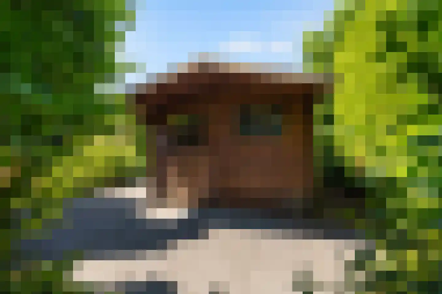Horseler Pol 2 Nijkerk thumbnail 21