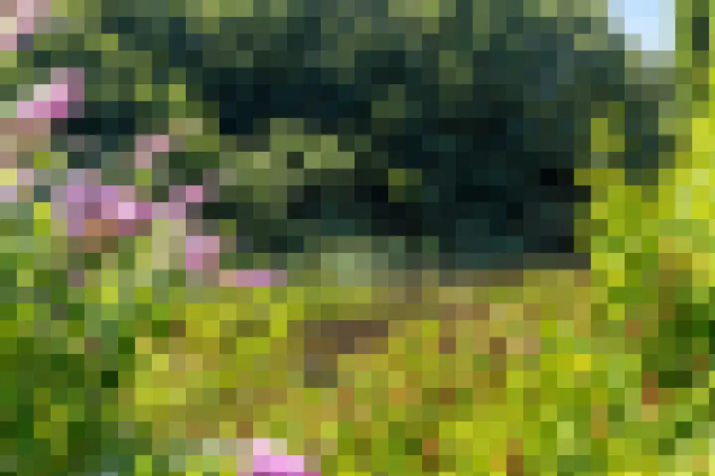 Horseler Pol 2 Nijkerk thumbnail 22