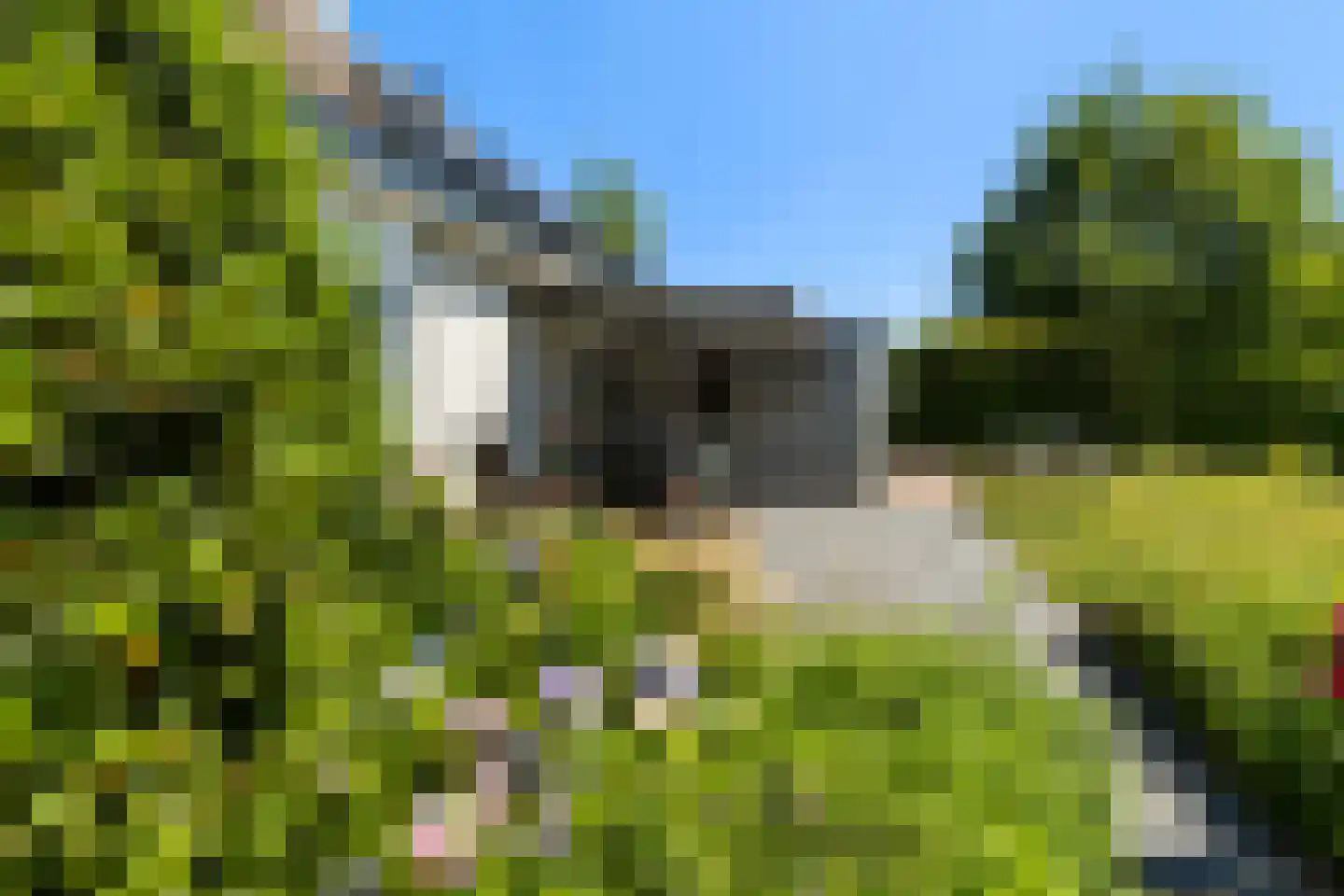 Horseler Pol 2 Nijkerk thumbnail 25