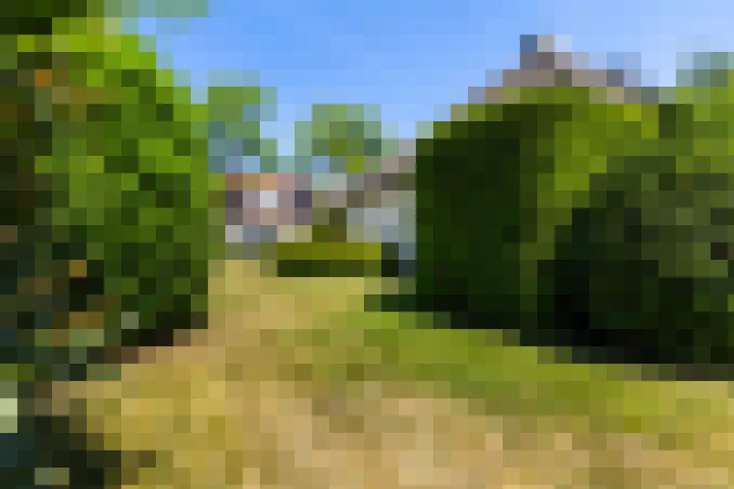 Horseler Pol 2 Nijkerk thumbnail 26