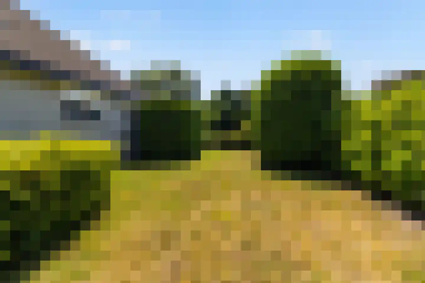 Horseler Pol 2 Nijkerk thumbnail 27