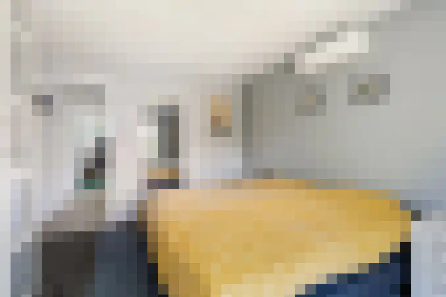 Horseler Pol 2 Nijkerk thumbnail 32