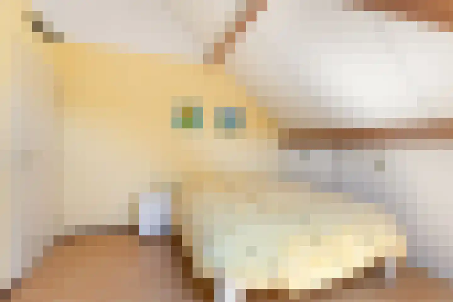 Horseler Pol 2 Nijkerk thumbnail 39