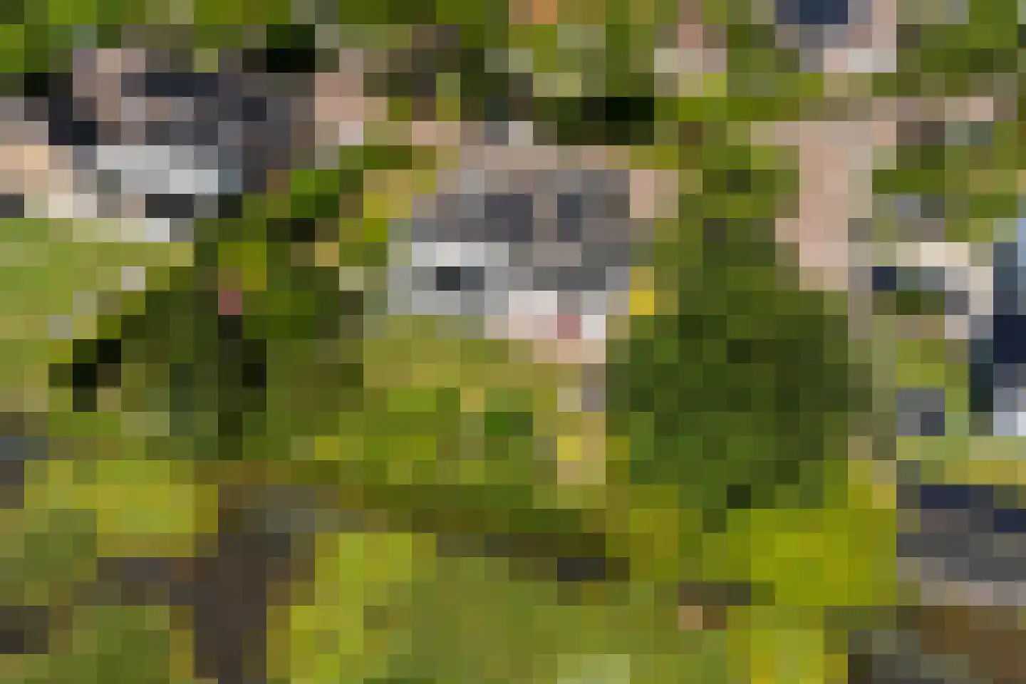 Horseler Pol 2 Nijkerk thumbnail 4