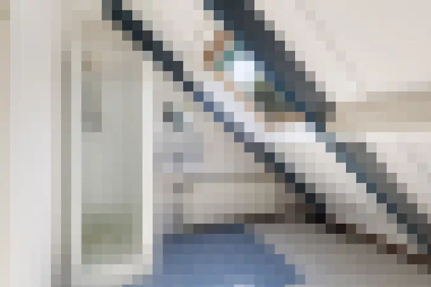 Horseler Pol 2 Nijkerk thumbnail 44