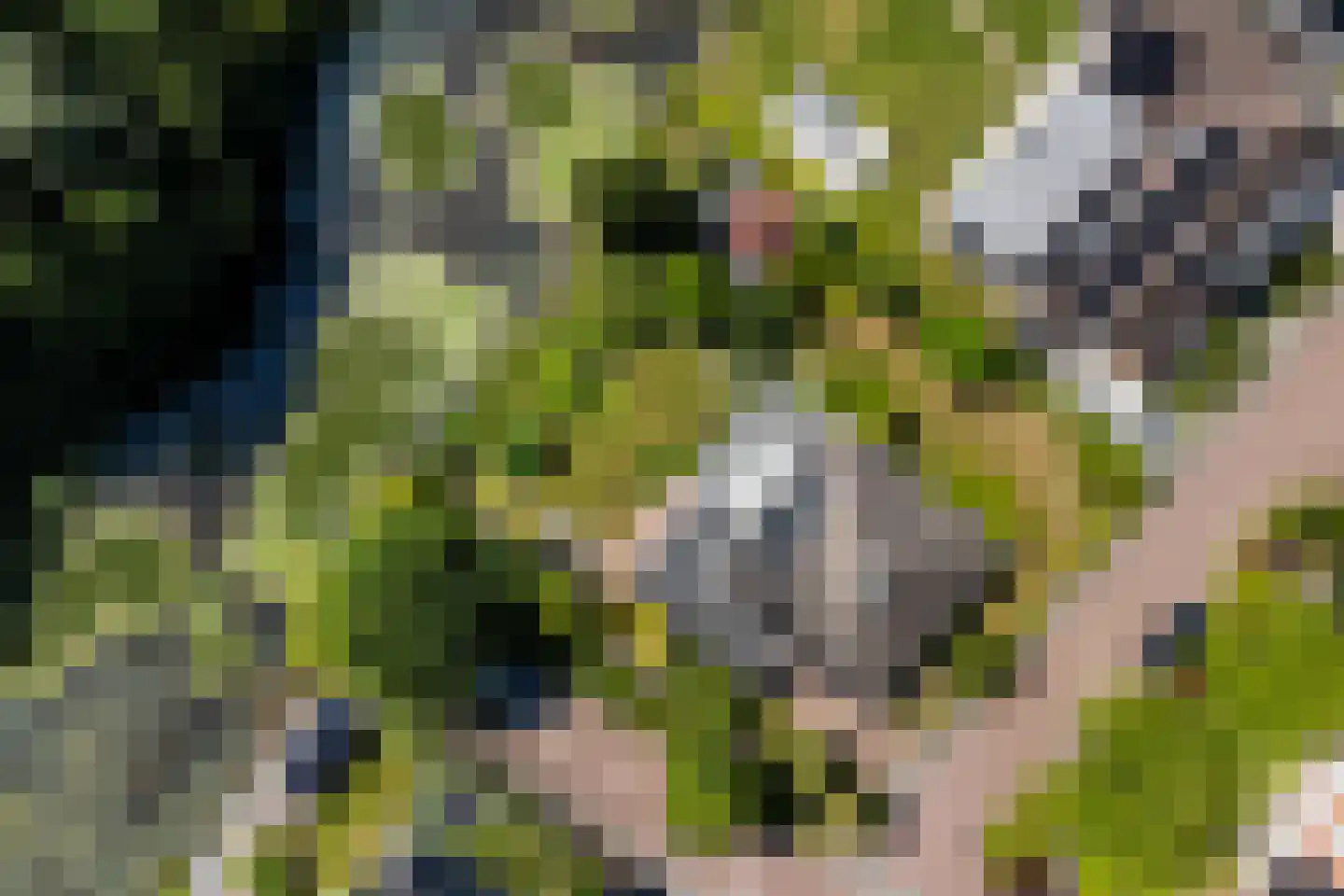 Horseler Pol 2 Nijkerk thumbnail 45