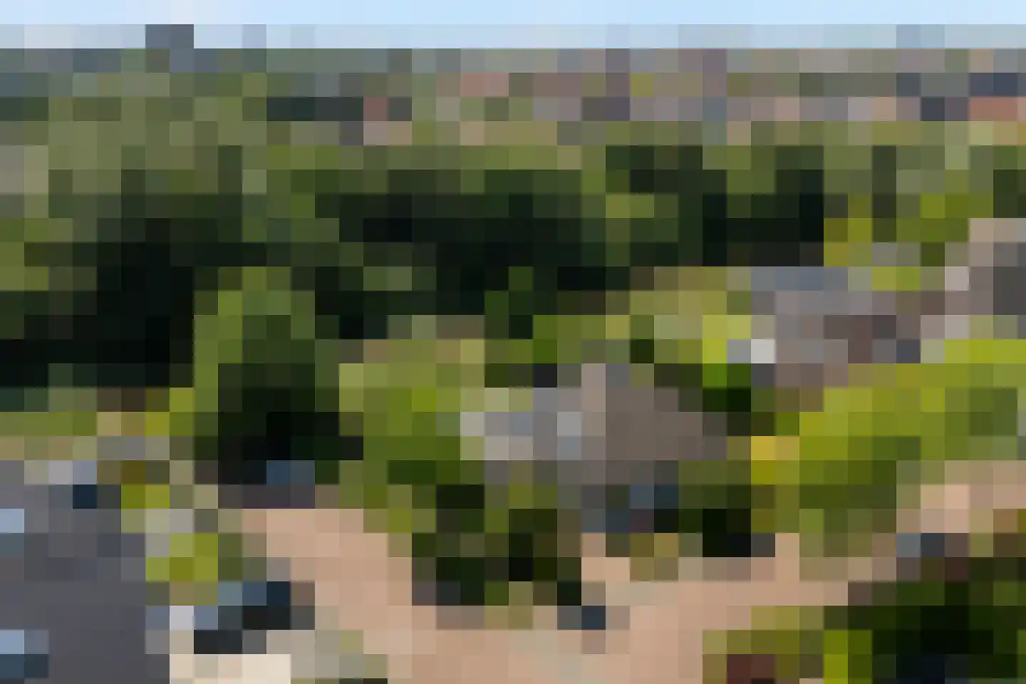 Horseler Pol 2 Nijkerk thumbnail 47