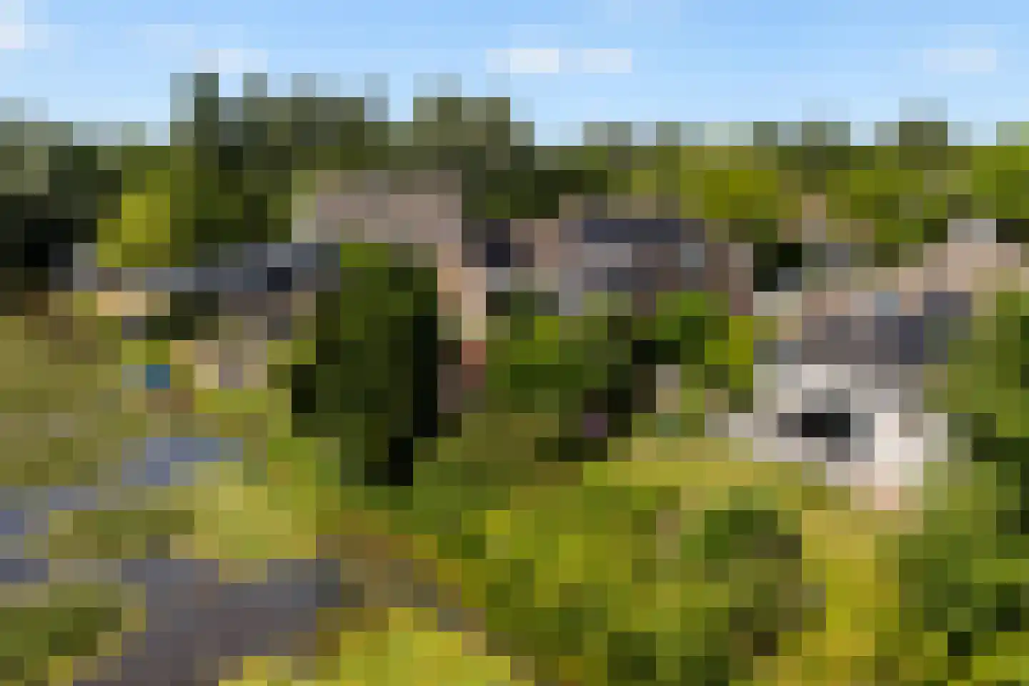 Horseler Pol 2 Nijkerk thumbnail 48