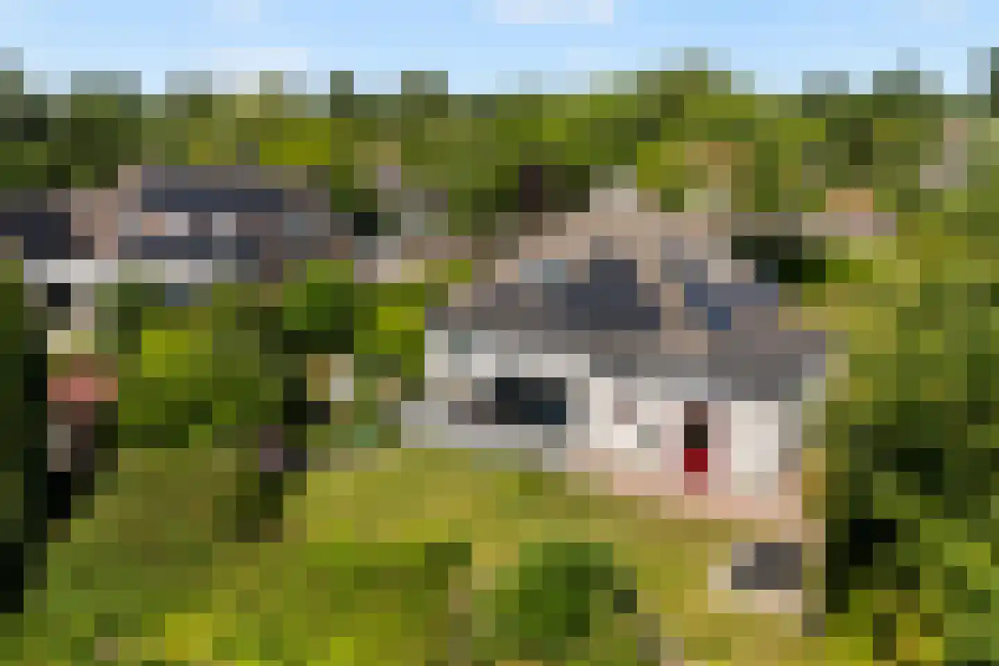 Horseler Pol 2 Nijkerk thumbnail 49