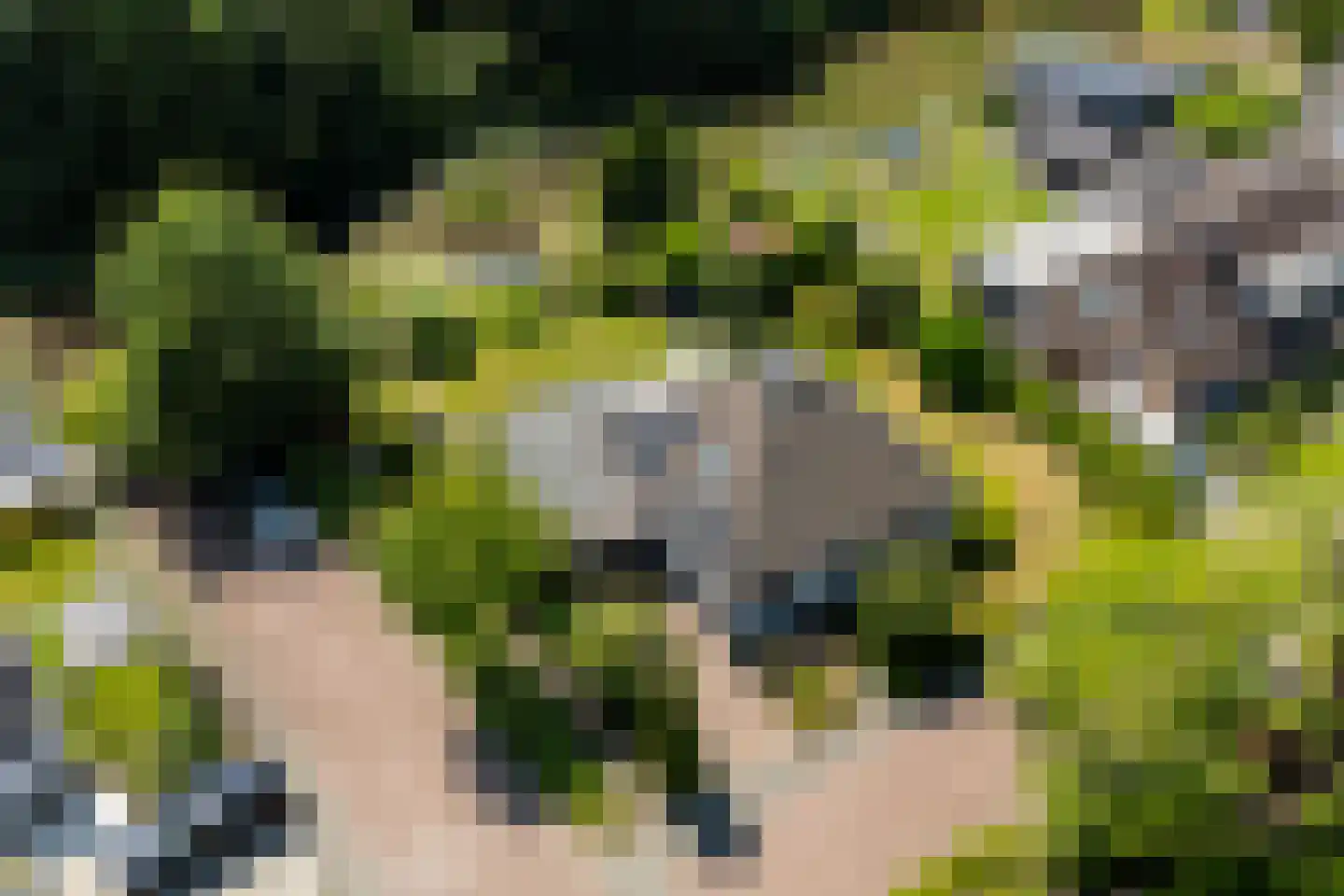 Horseler Pol 2 Nijkerk thumbnail 5