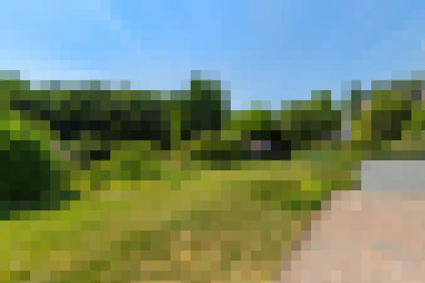 Horseler Pol 2 Nijkerk thumbnail 6