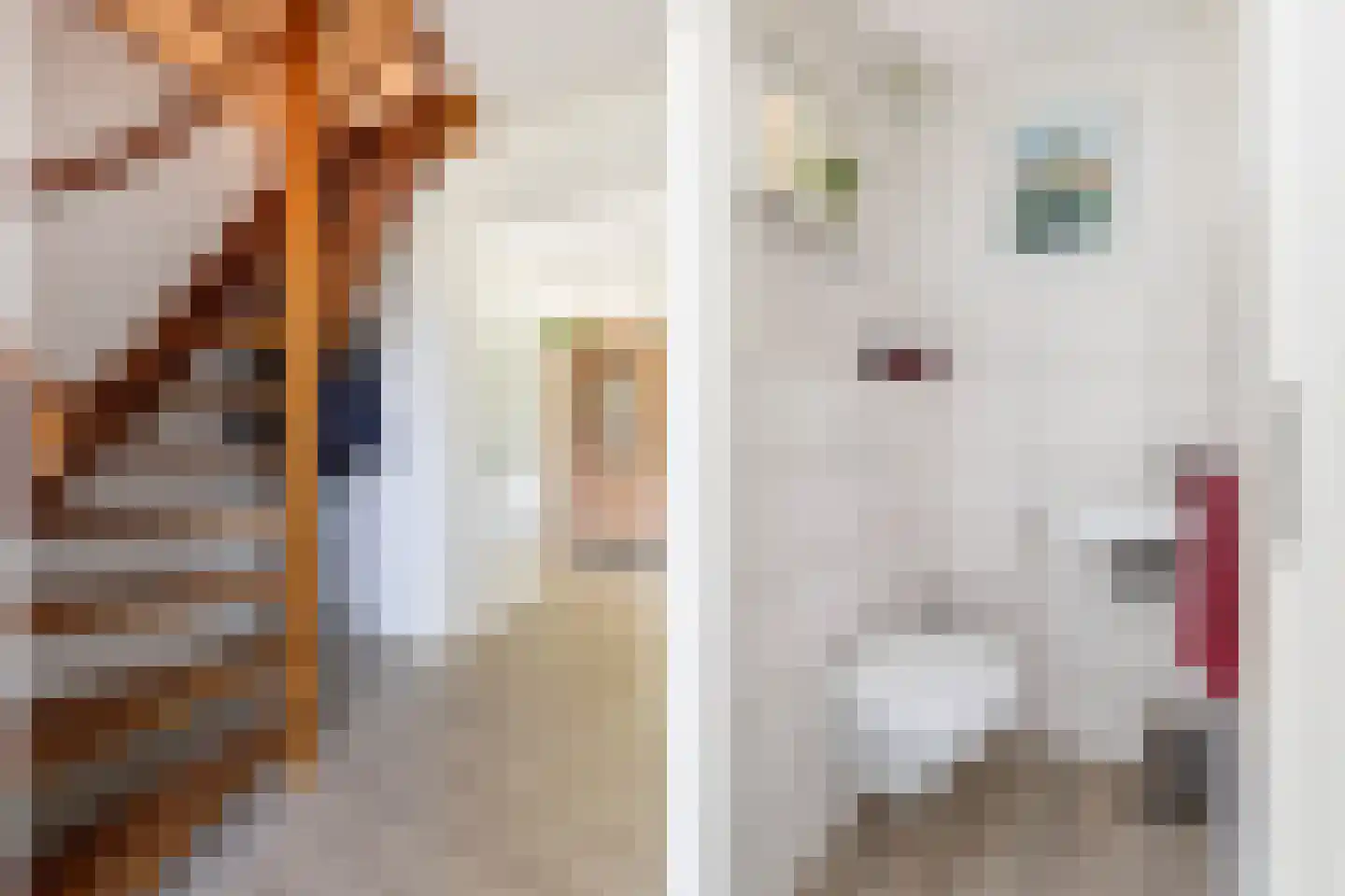 Horseler Pol 2 Nijkerk thumbnail 9
