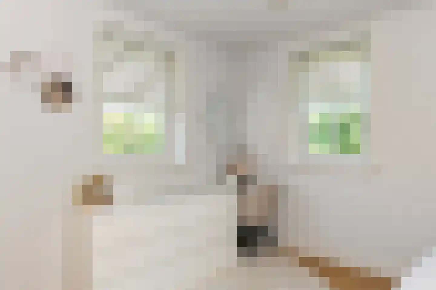 Horselerweg 15 Kootwijkerbroek thumbnail 11