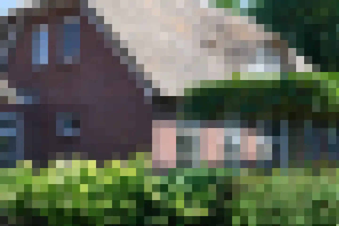 Horselerweg 15 Kootwijkerbroek thumbnail 63