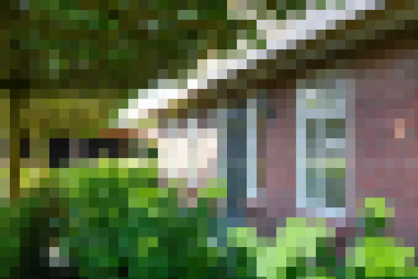 Horselerweg 15 Kootwijkerbroek thumbnail 66