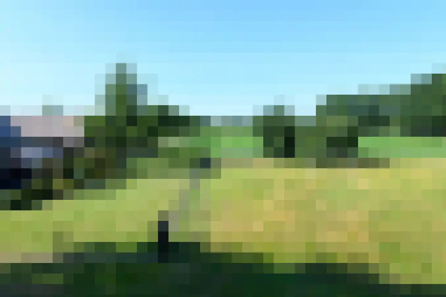 Horselerweg 15 Kootwijkerbroek thumbnail 76
