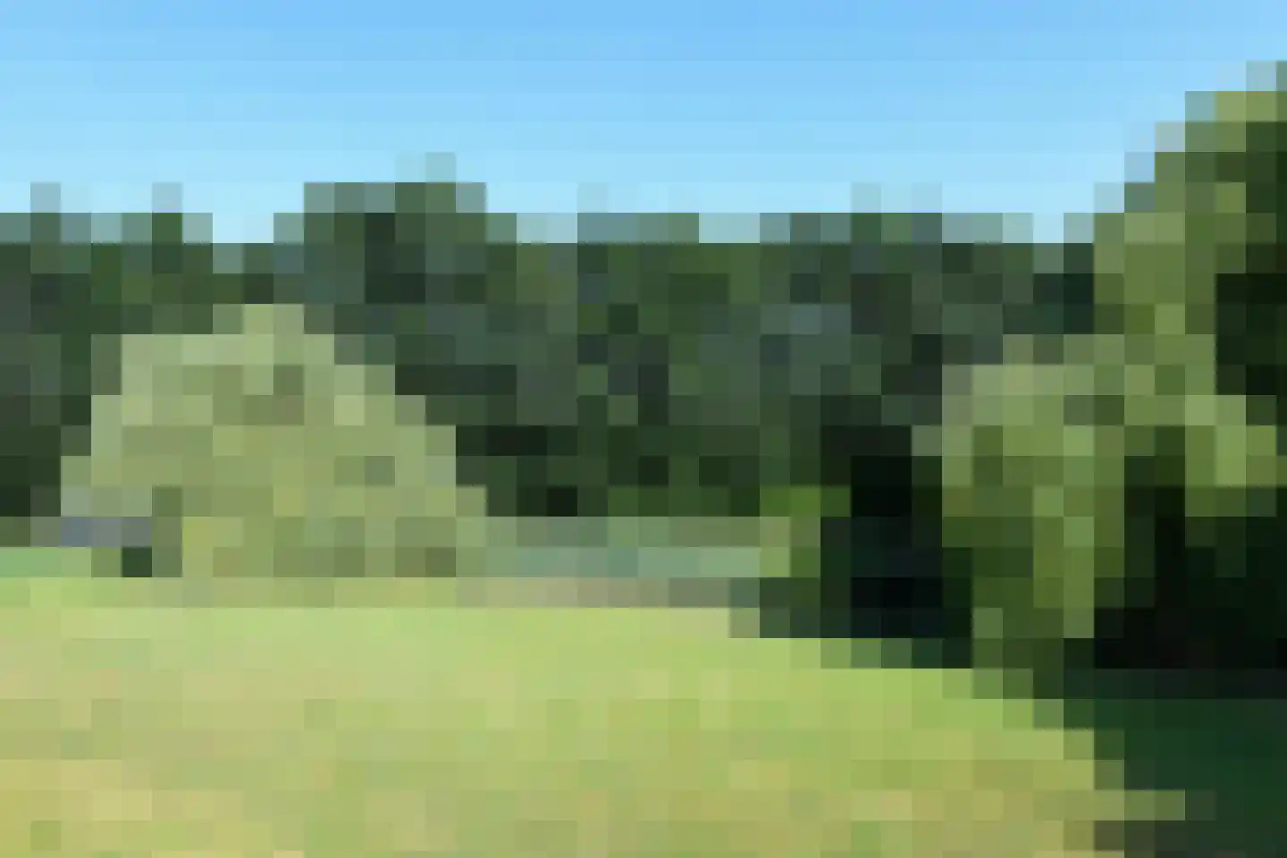 Horselerweg 15 Kootwijkerbroek thumbnail 78