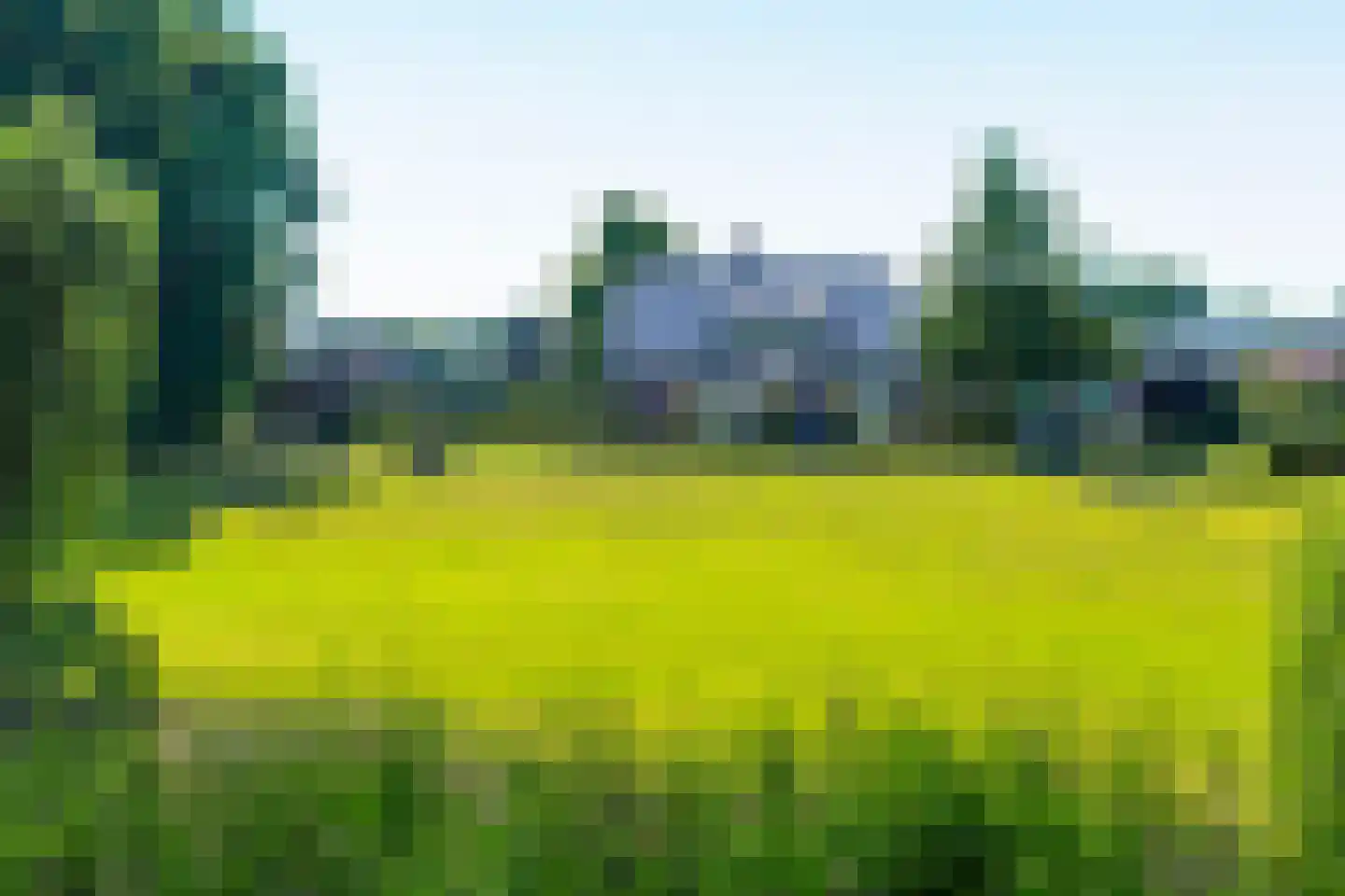 Horselerweg 15 Kootwijkerbroek thumbnail 79