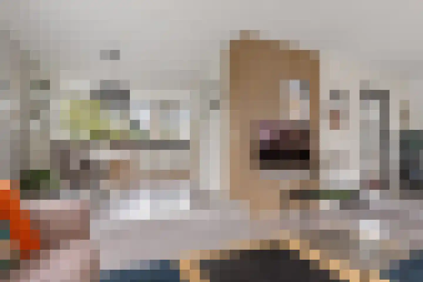 Horseweg 22 Sneek thumbnail 16