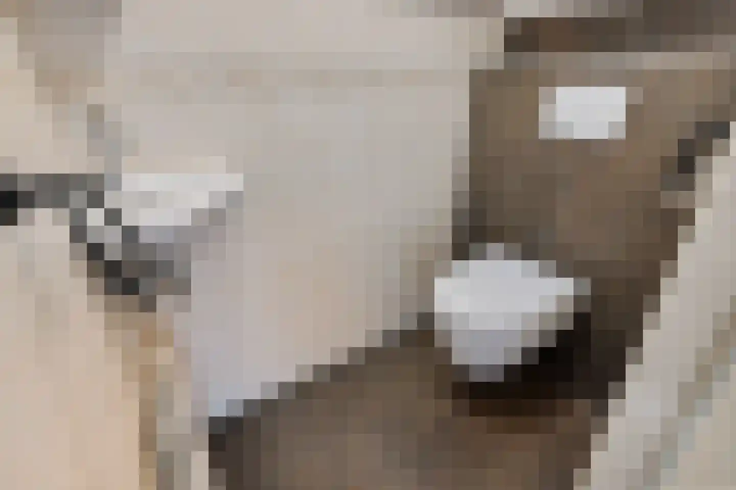 Horseweg 22 Sneek thumbnail 17