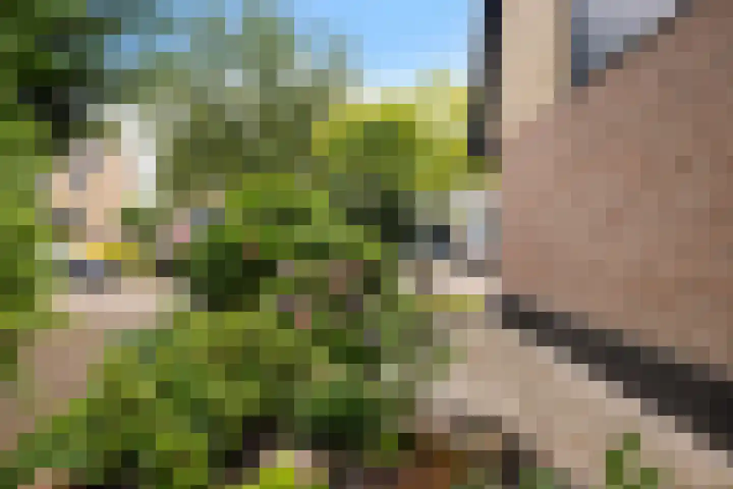 Horseweg 22 Sneek thumbnail 35