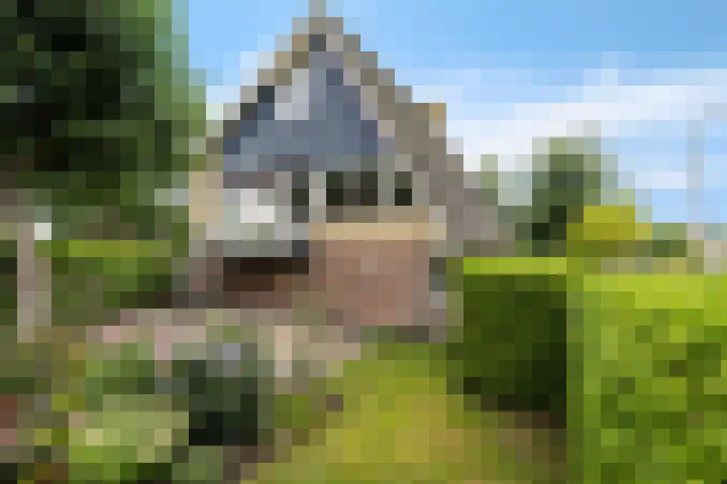 Horseweg 22 Sneek thumbnail 37
