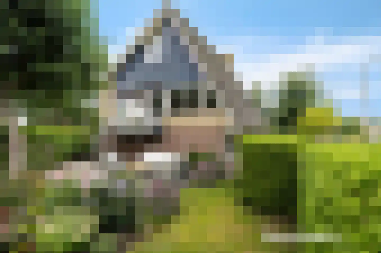 Horseweg 22 Sneek thumbnail 38