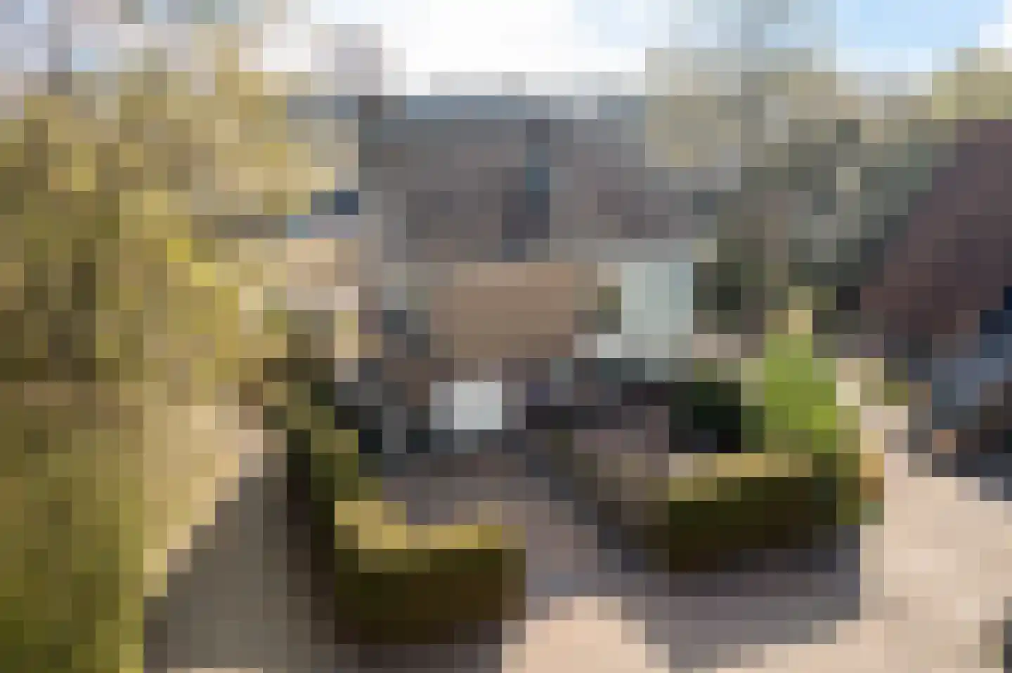 Horseweg 22 Sneek thumbnail 4