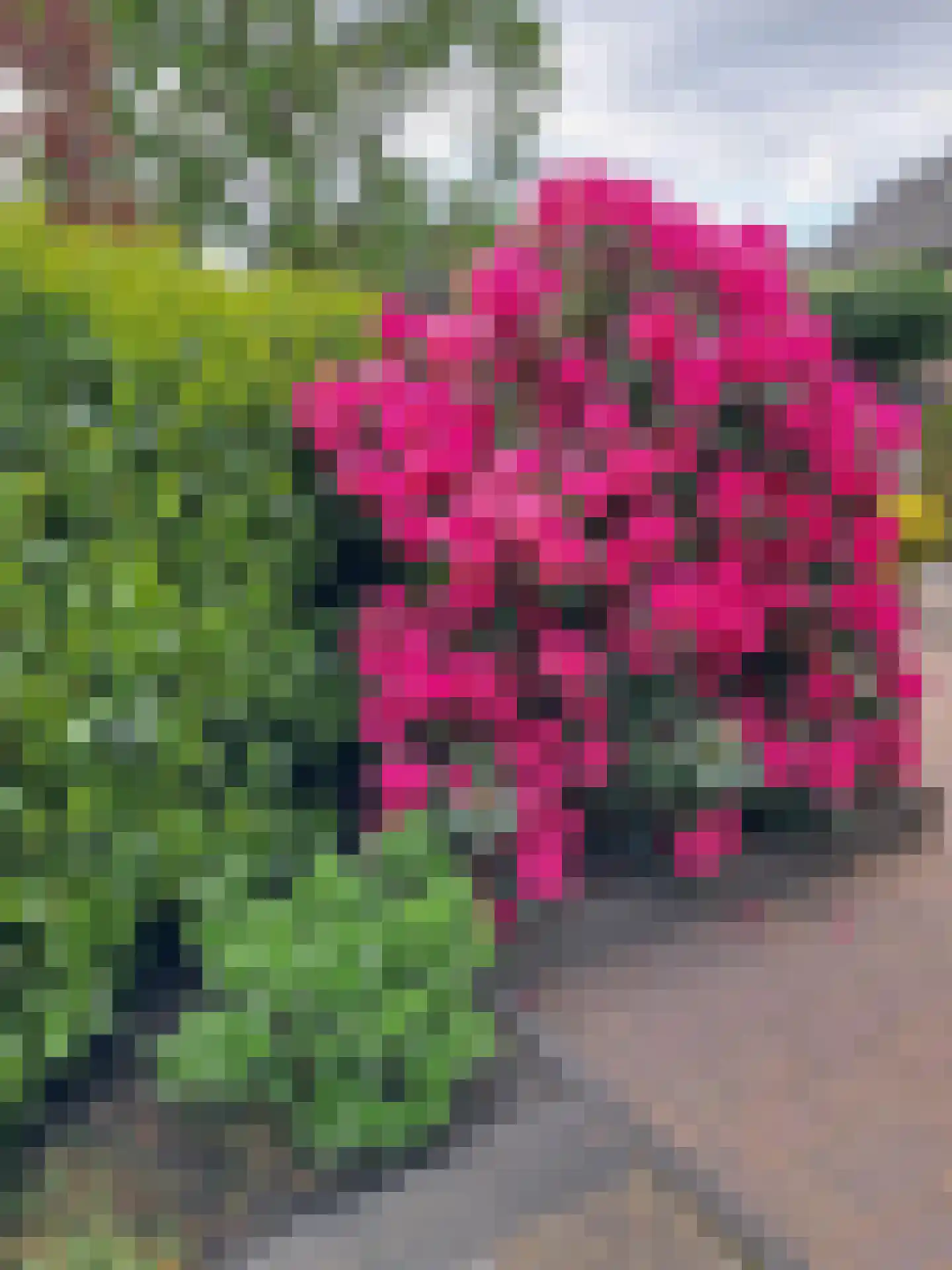 Horseweg 22 Sneek thumbnail 40