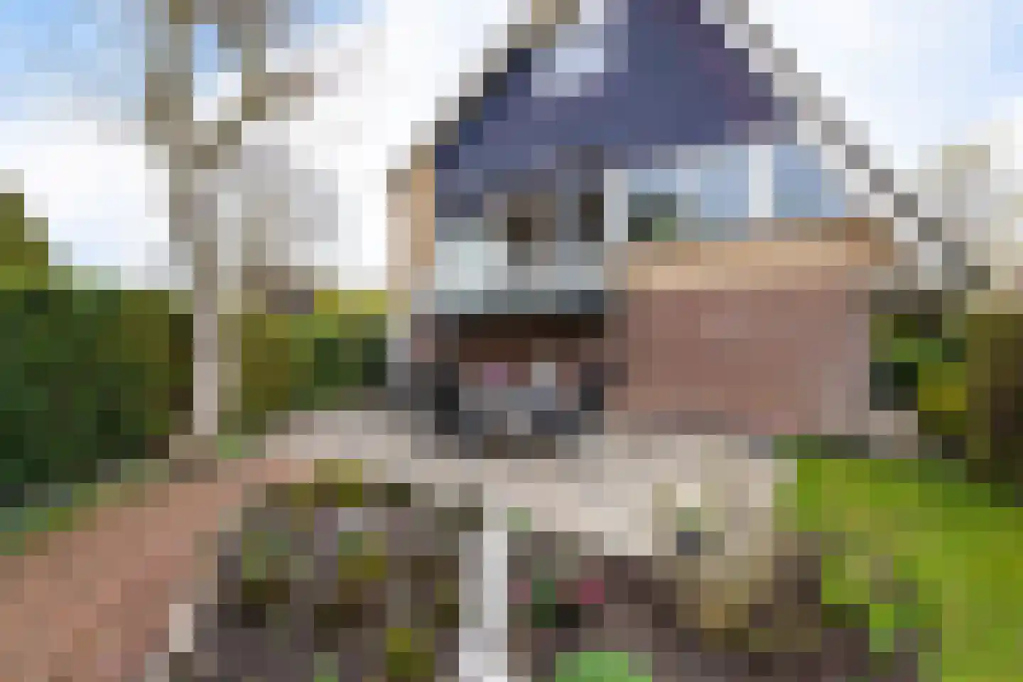Horseweg 22 Sneek thumbnail 44