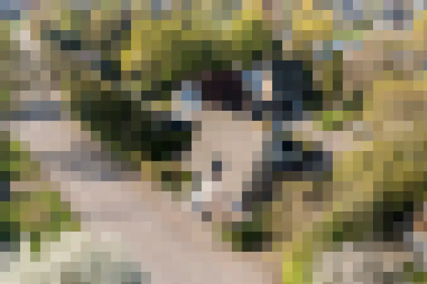 Horseweg 22 Sneek thumbnail 49