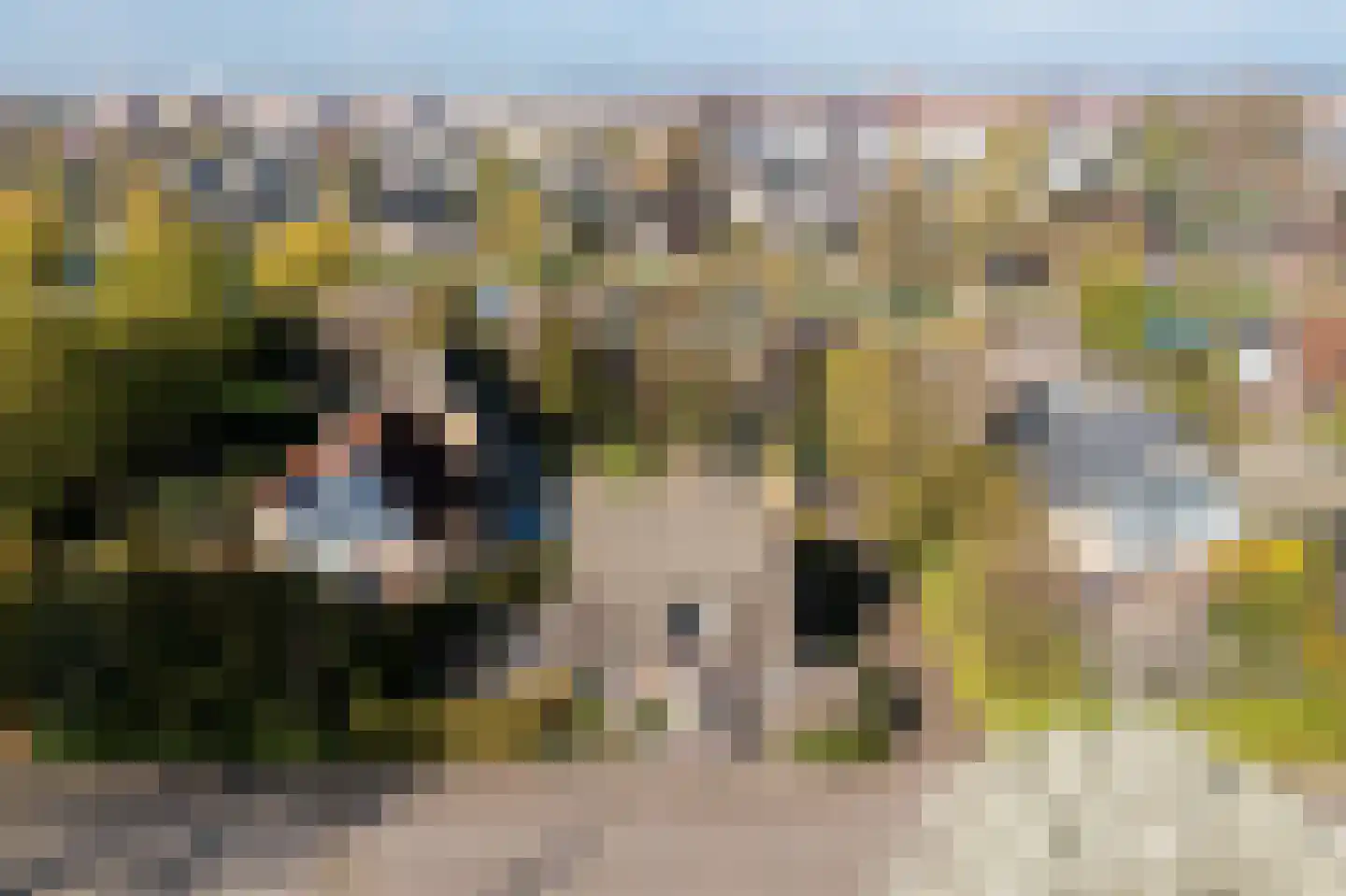 Horseweg 22 Sneek thumbnail 5