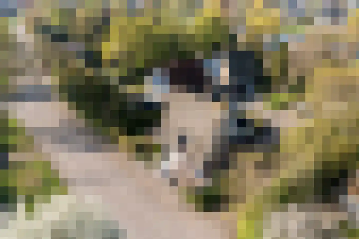 Horseweg 22 Sneek thumbnail 52