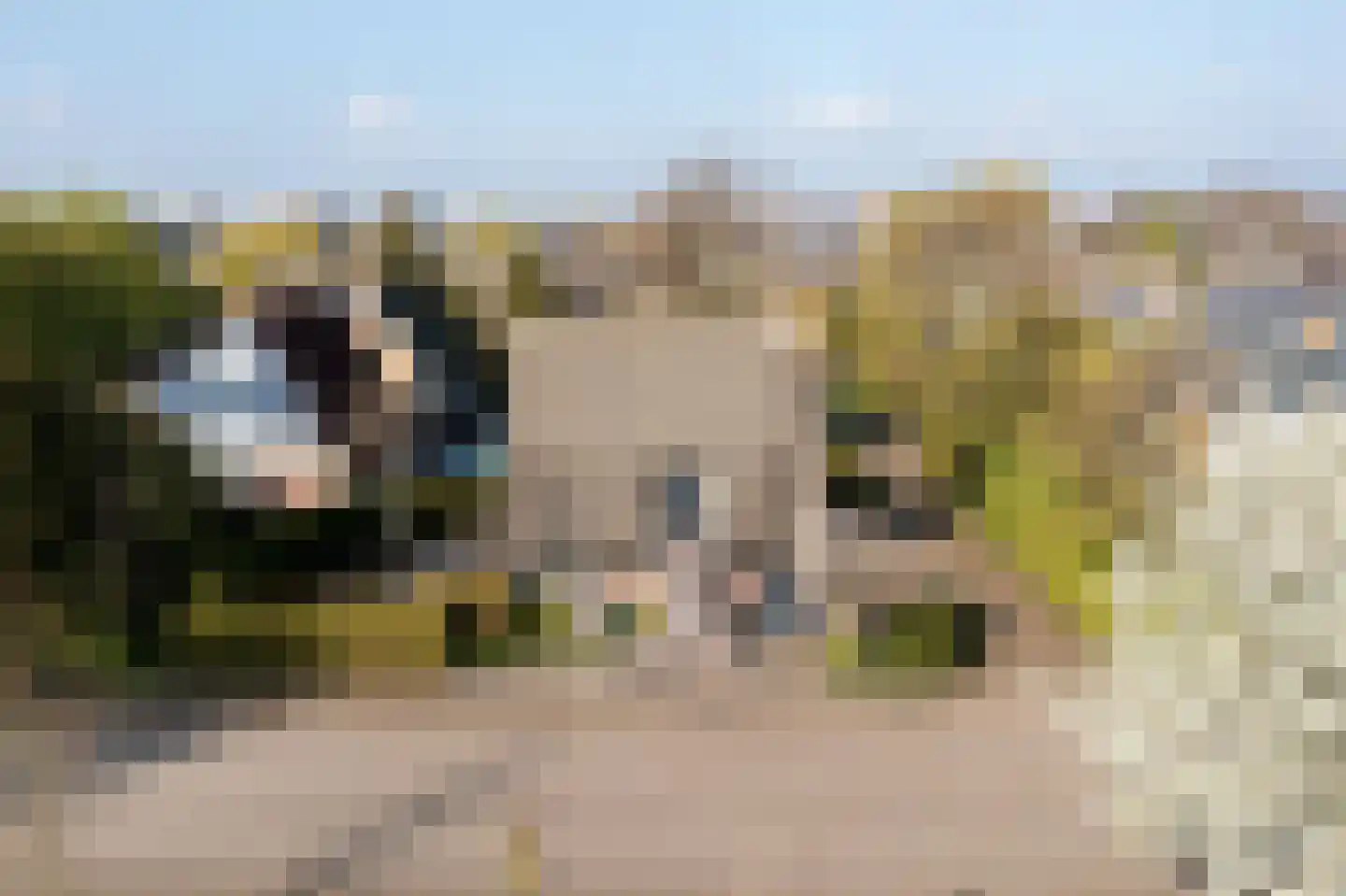 Horseweg 22 Sneek thumbnail 53