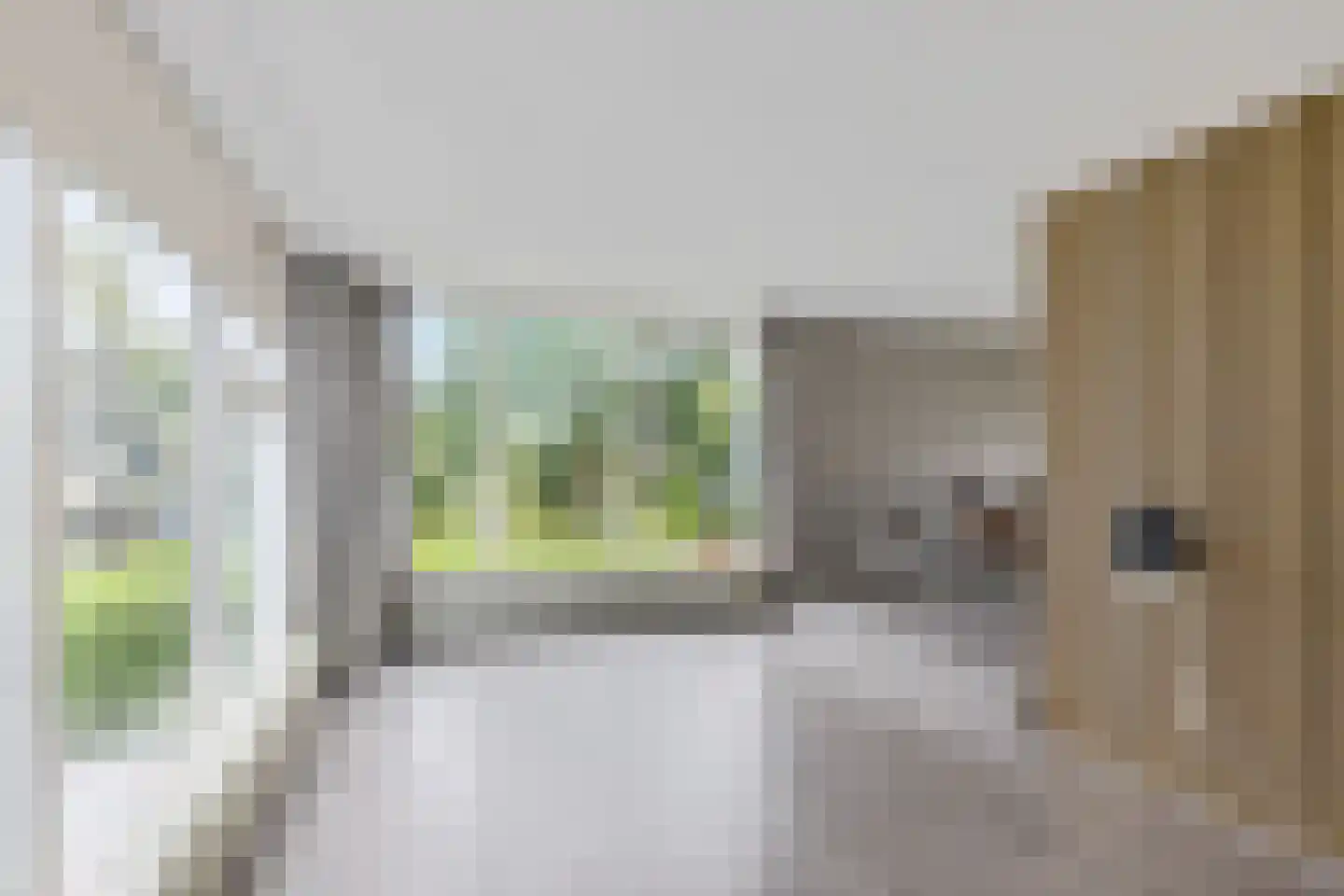 Horseweg 22 Sneek thumbnail 8